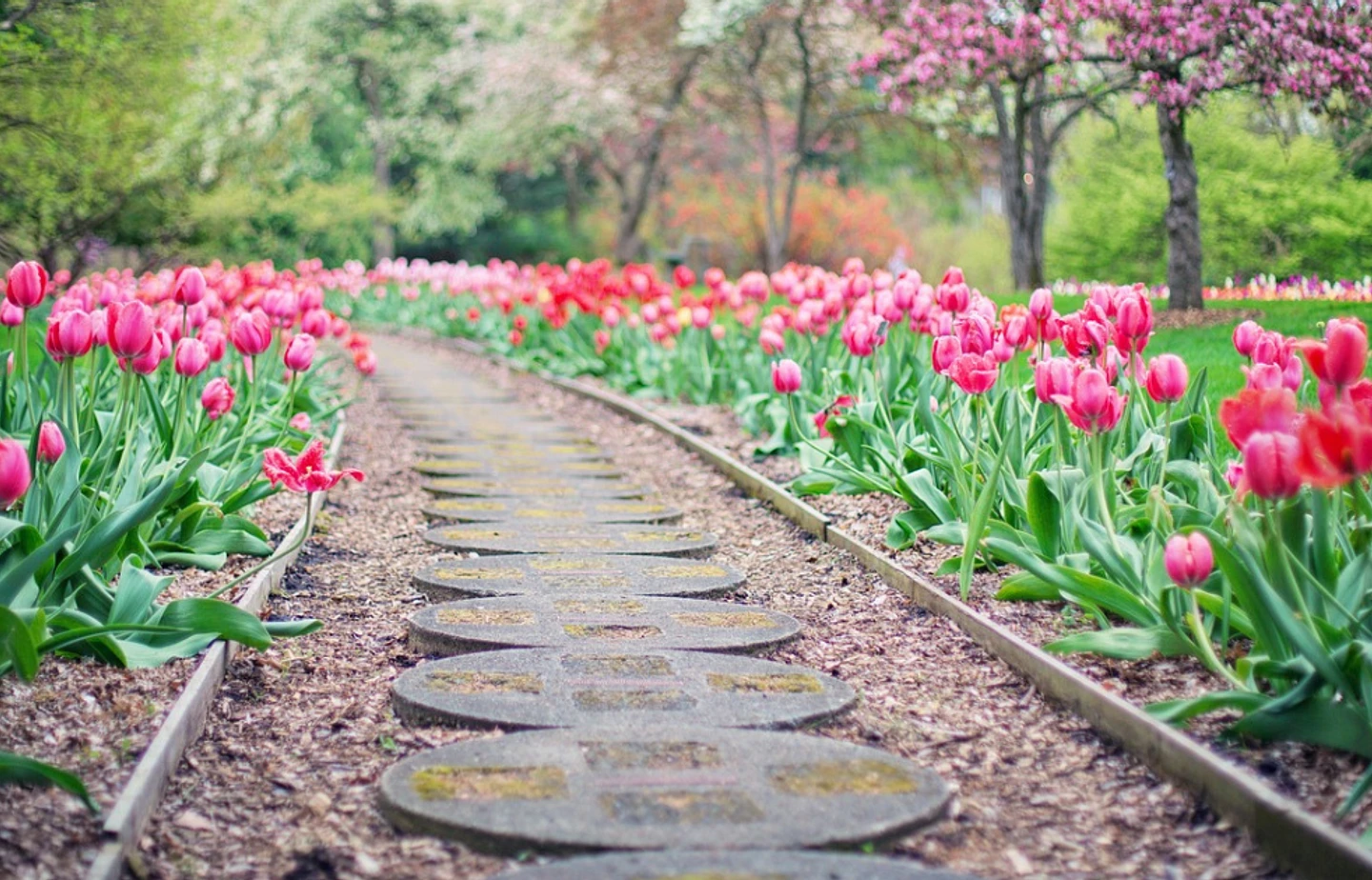 Blogue 10 Activites a faire au printemps
