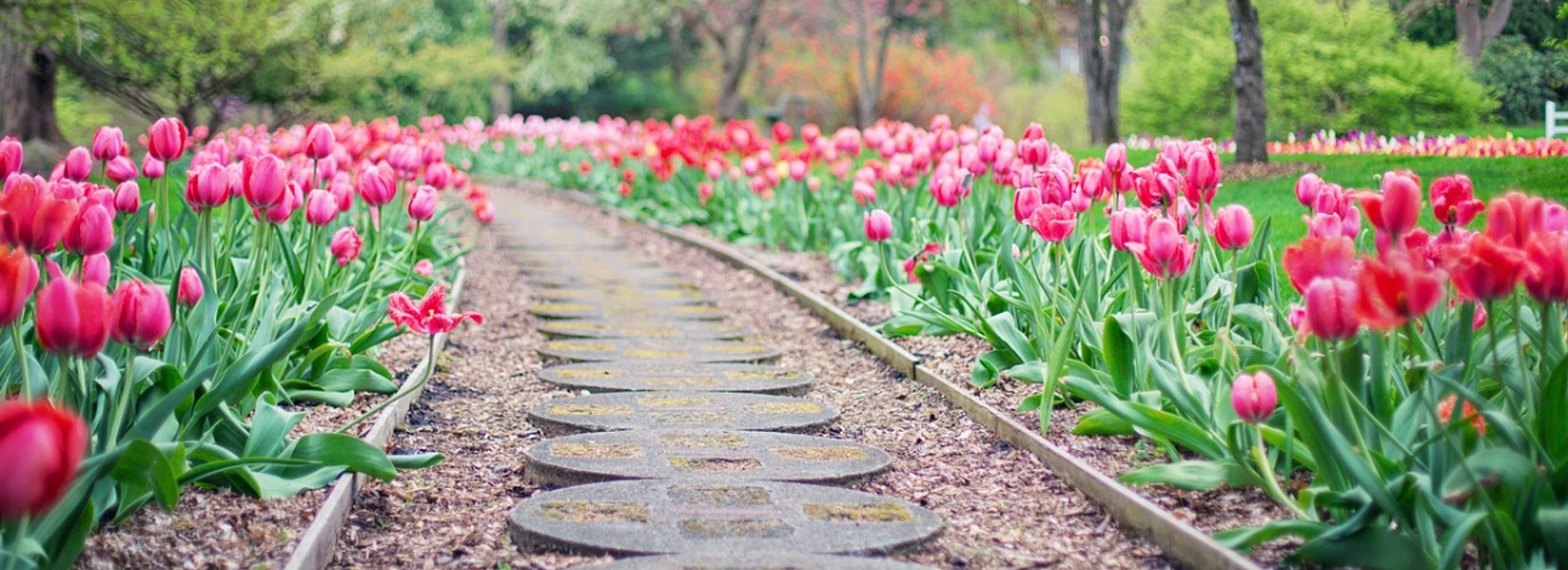 Blogue 10 Activites a faire au printemps