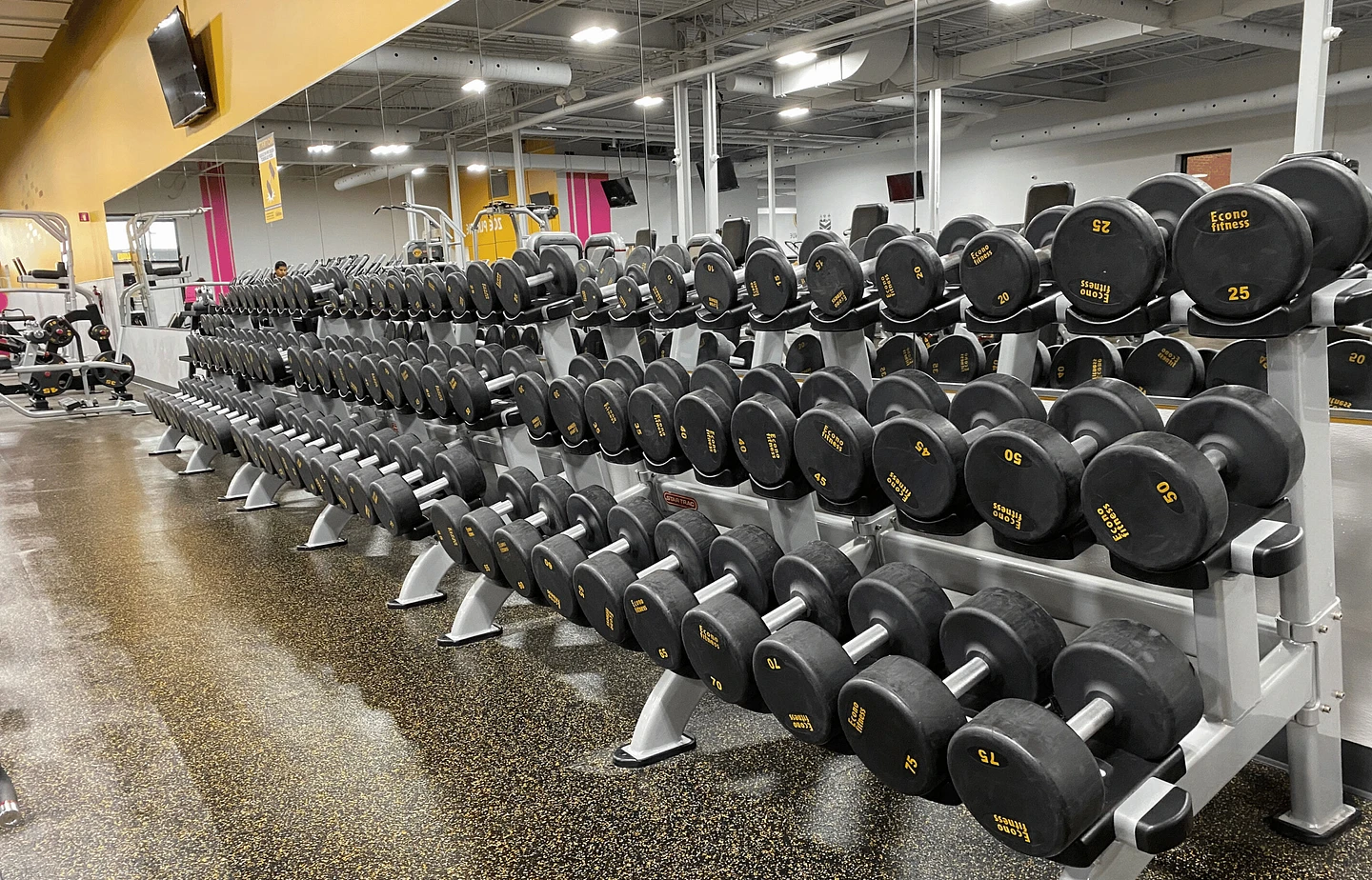 Un nouveau gym Econofitness dans Vanier des le 18 decembre