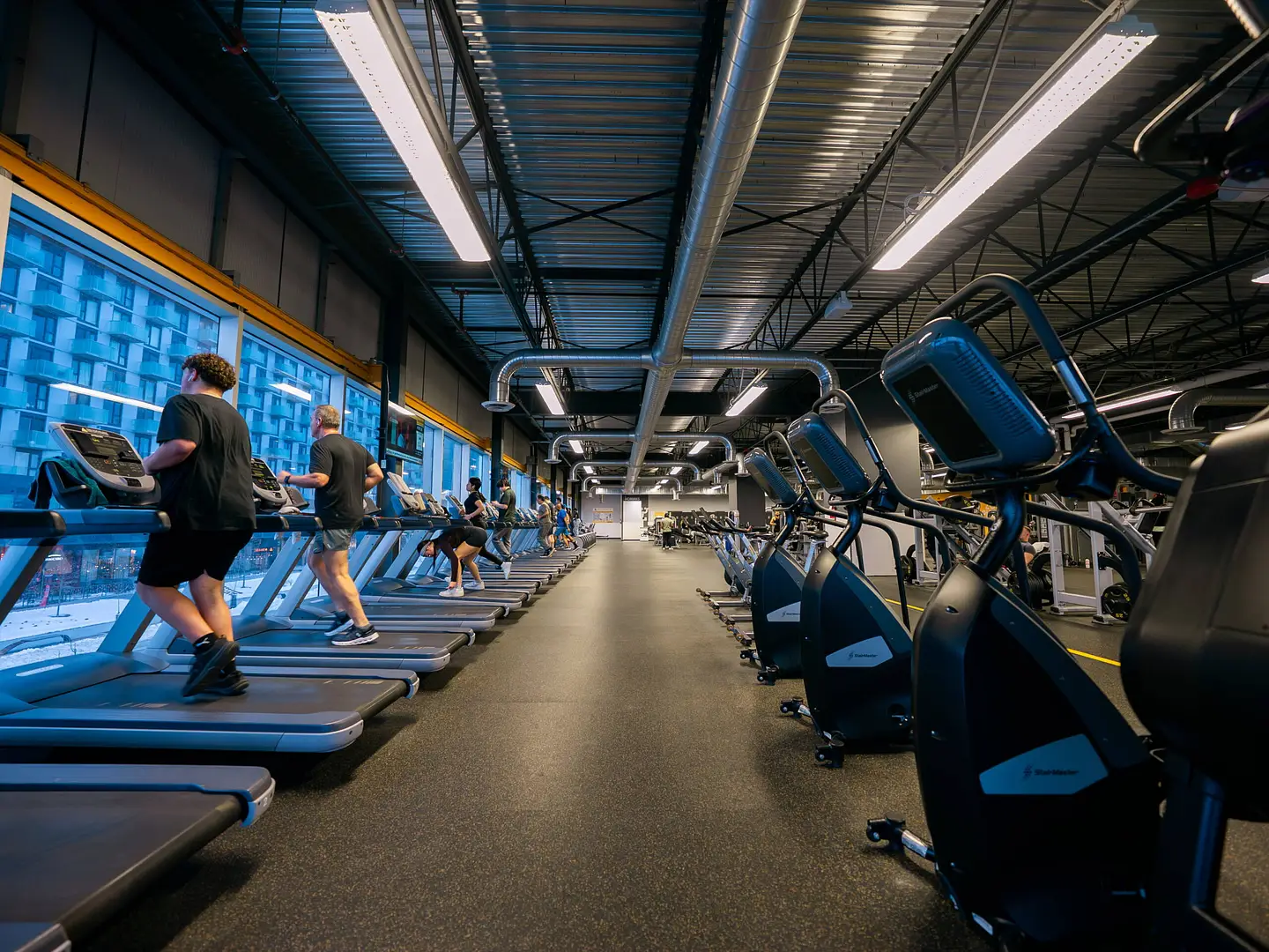 Cardio et velocycle 2