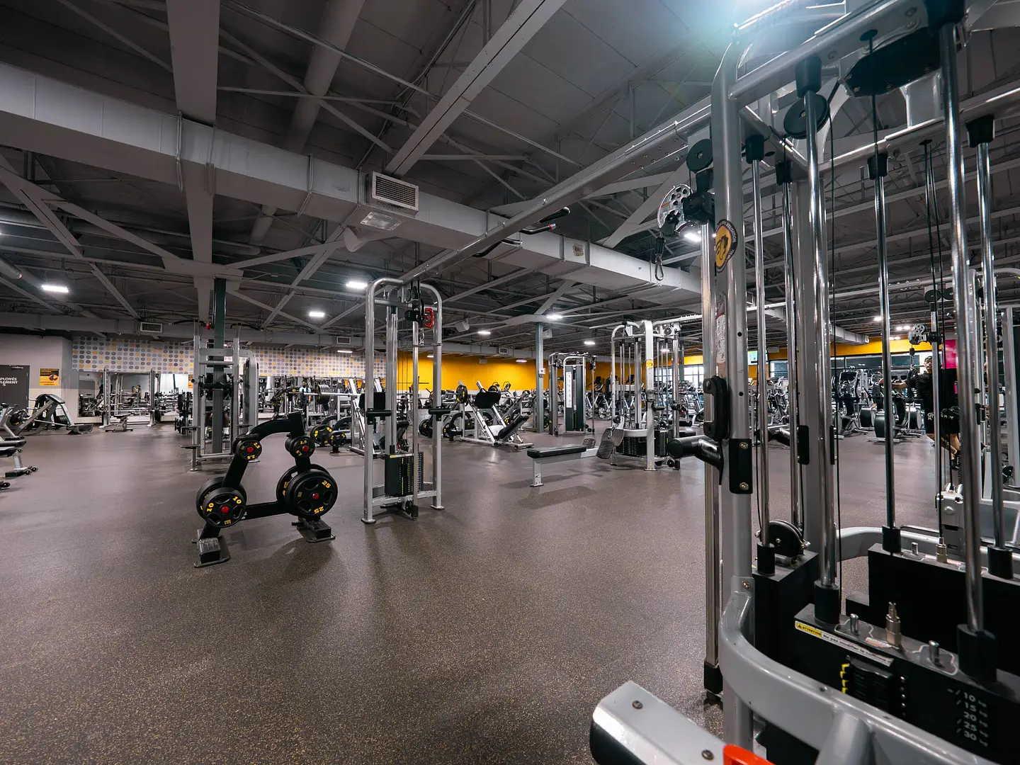 1 Section musculation