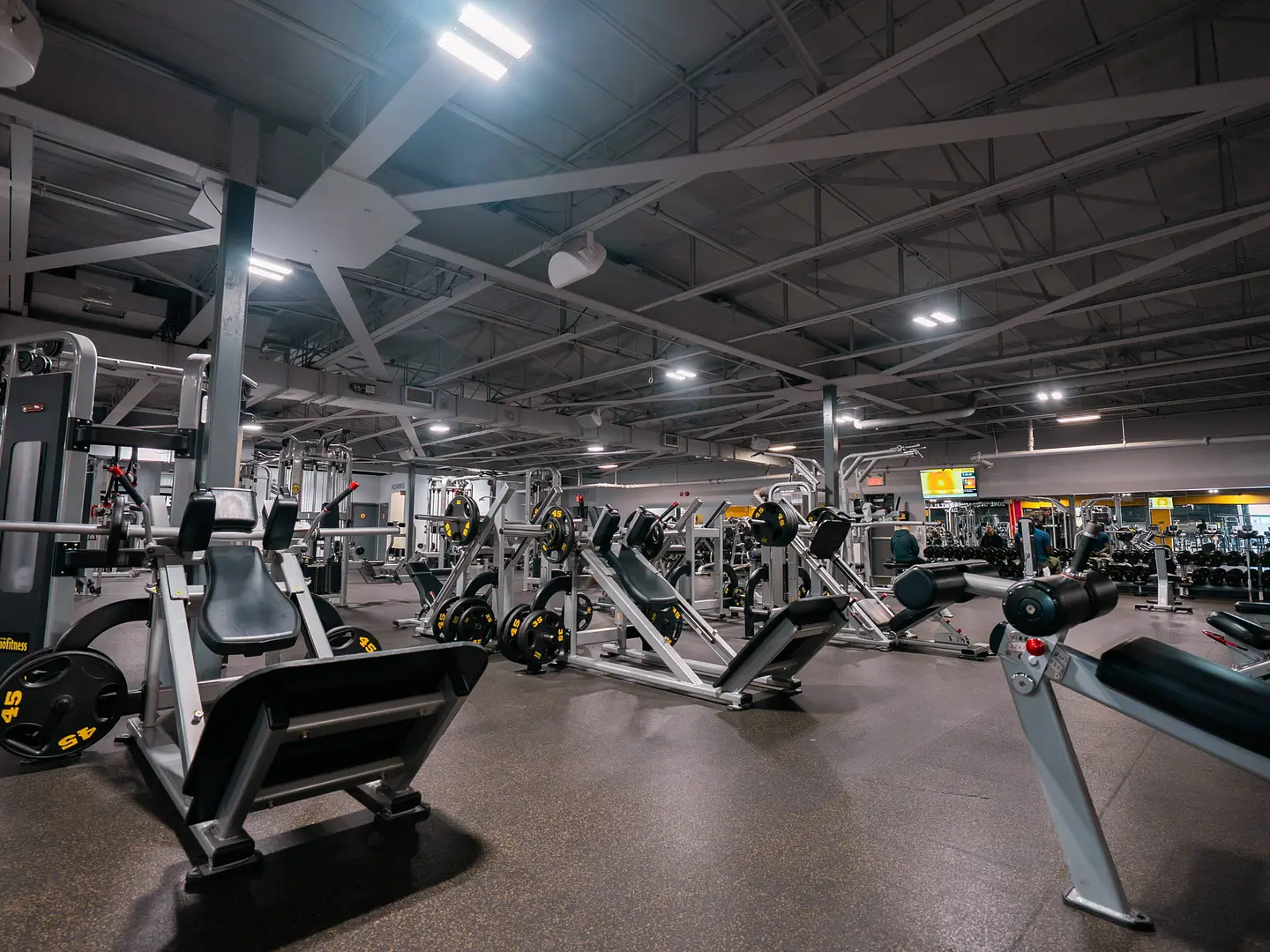 2 Section musculation