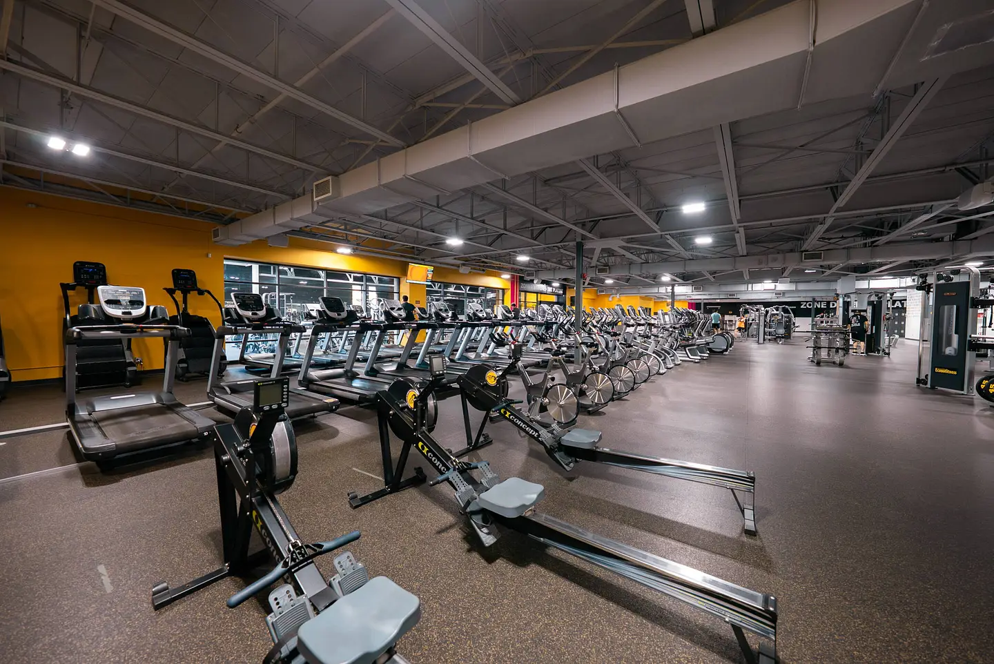 5 Section cardio