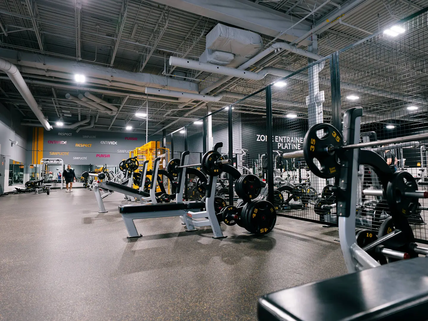 5 zone muscu