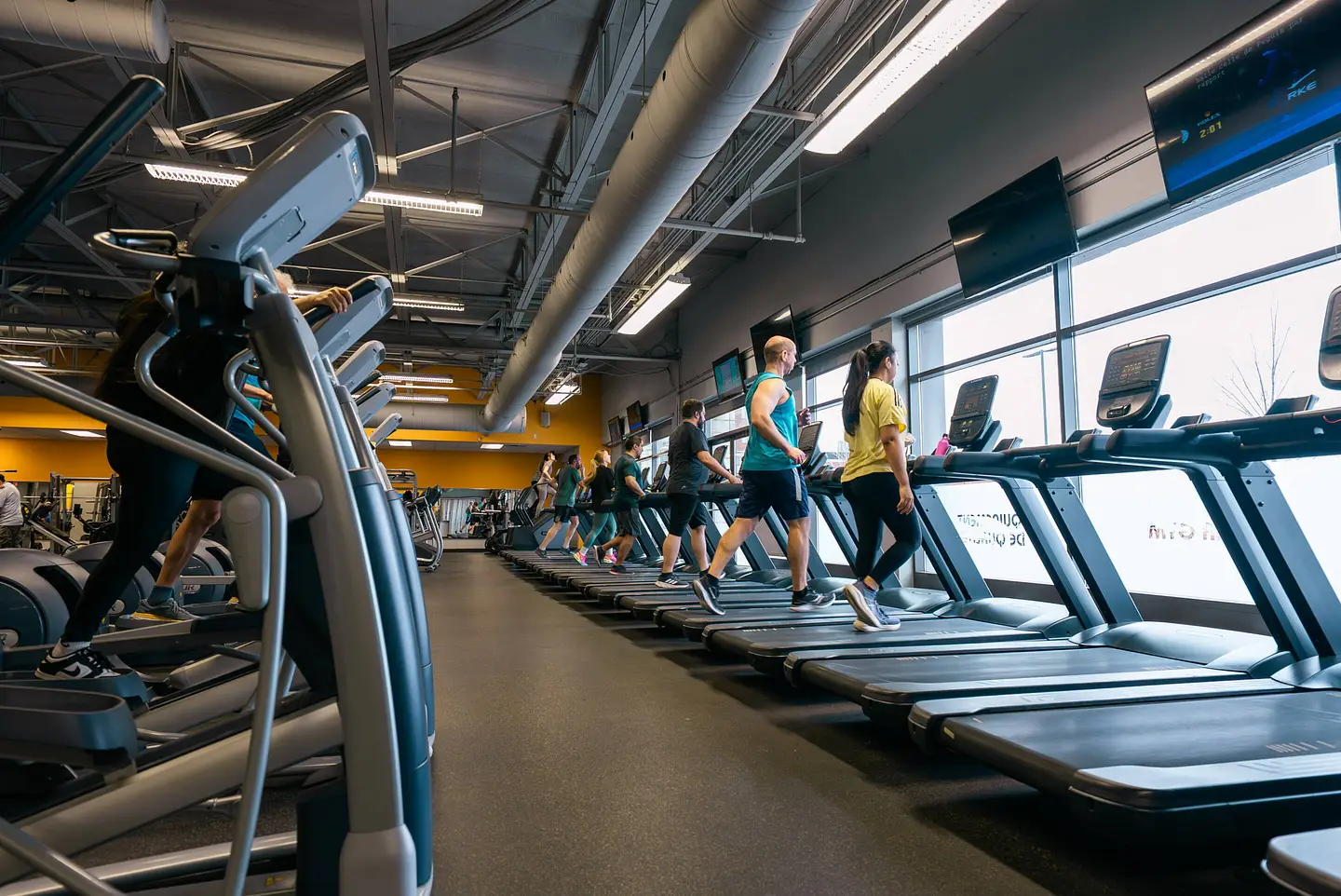 Cardio velocycle 2 1