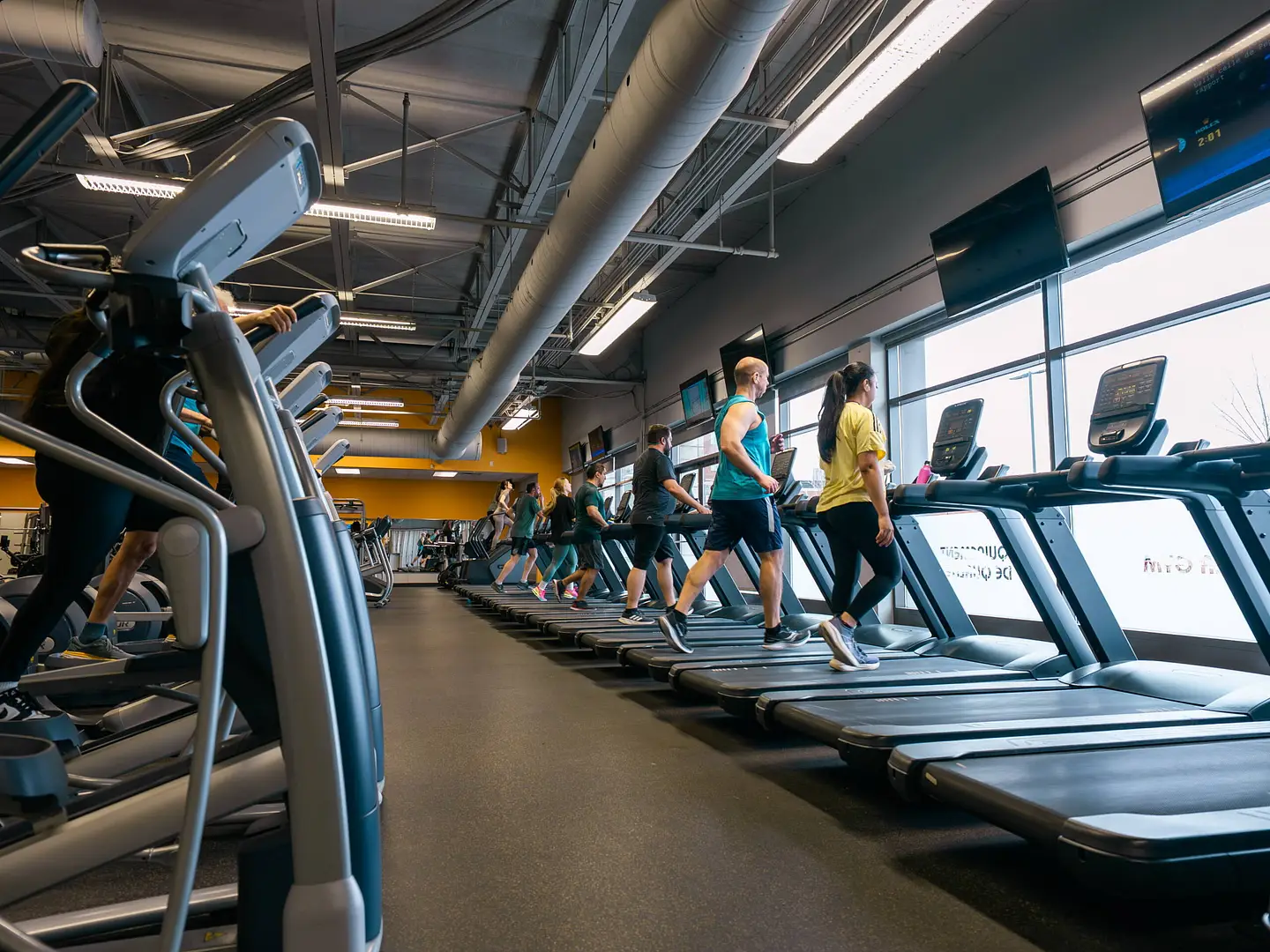 Cardio velocycle 2 1