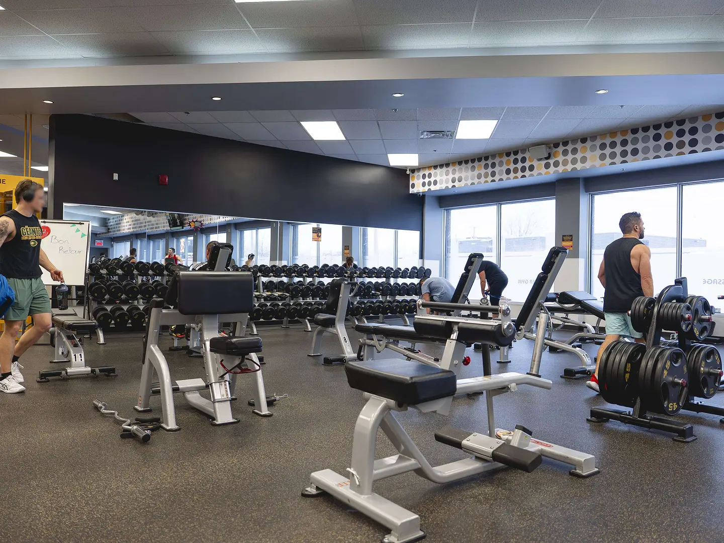 5 sectionpoidslibres 2 min