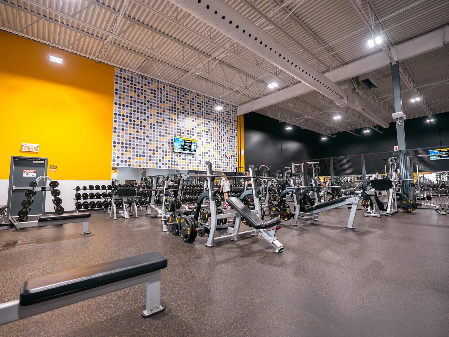 Section musculation 1 1