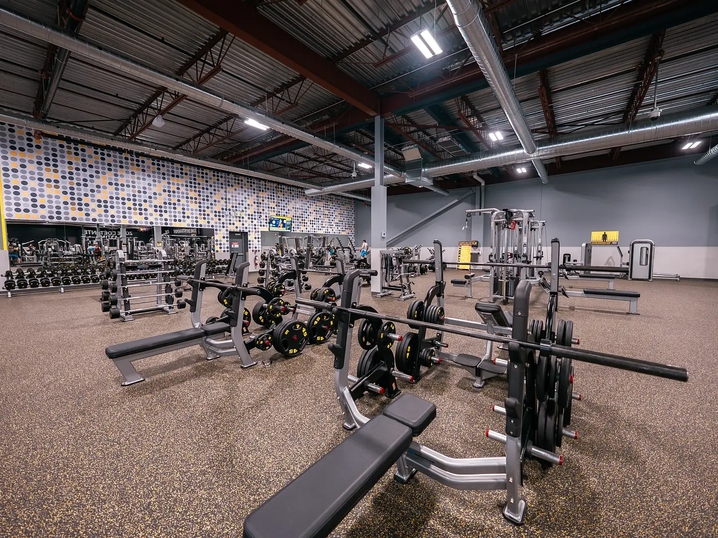 Section musculation 1