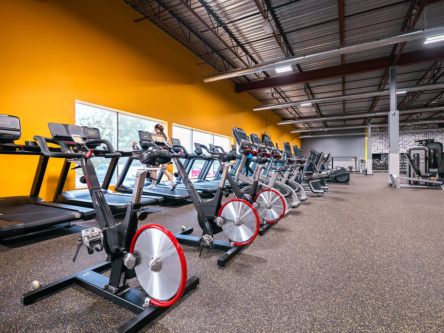 Velocycle et section cardio 1