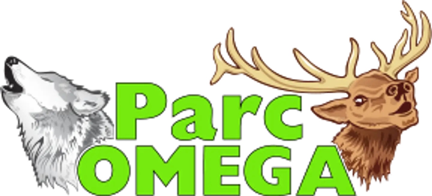 Logo png
